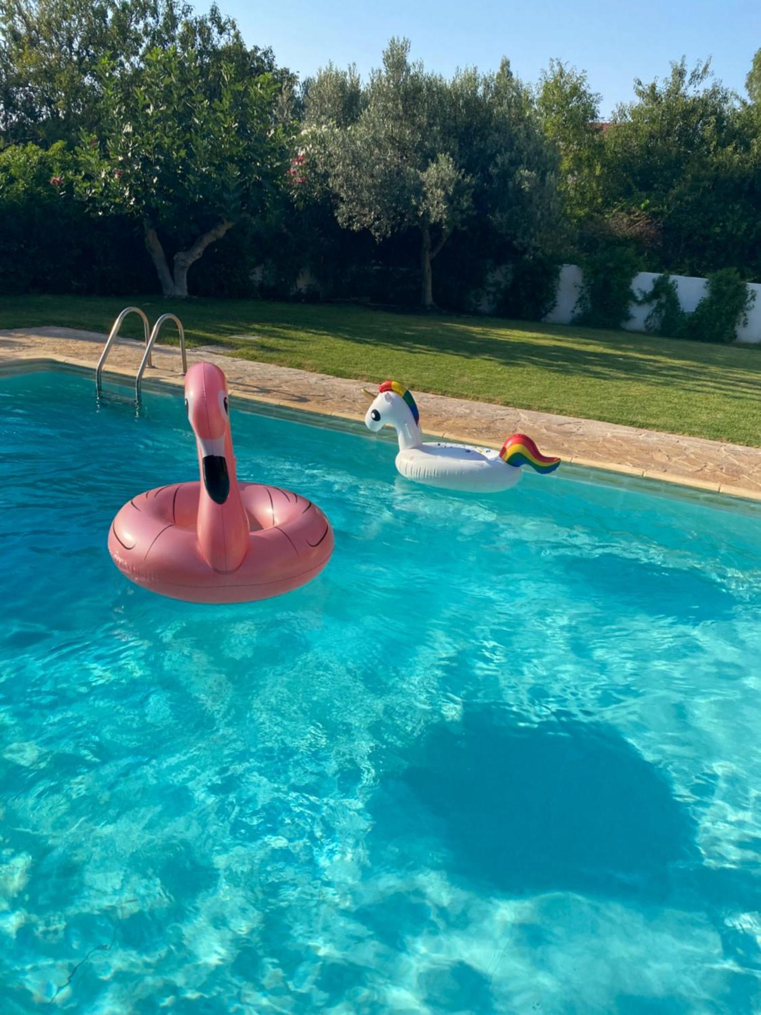 Relaxing Villa With Swimming Pool And Garden Ájosz Jeórjiosz Kültér fotó