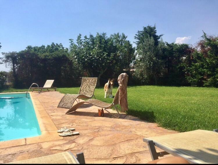 Relaxing Villa With Swimming Pool And Garden Ájosz Jeórjiosz Kültér fotó