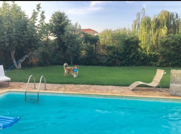 Relaxing Villa With Swimming Pool And Garden Ájosz Jeórjiosz Kültér fotó